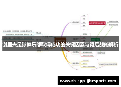 谢里夫足球俱乐部取得成功的关键因素与背后战略解析 谢里夫足球俱乐部取得成功的关键因素与背后战略解析