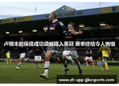 卢顿未能保级成功遗憾降入英冠 赛季终结令人惋惜 卢顿未能保级成功遗憾降入英冠 赛季终结令人惋惜